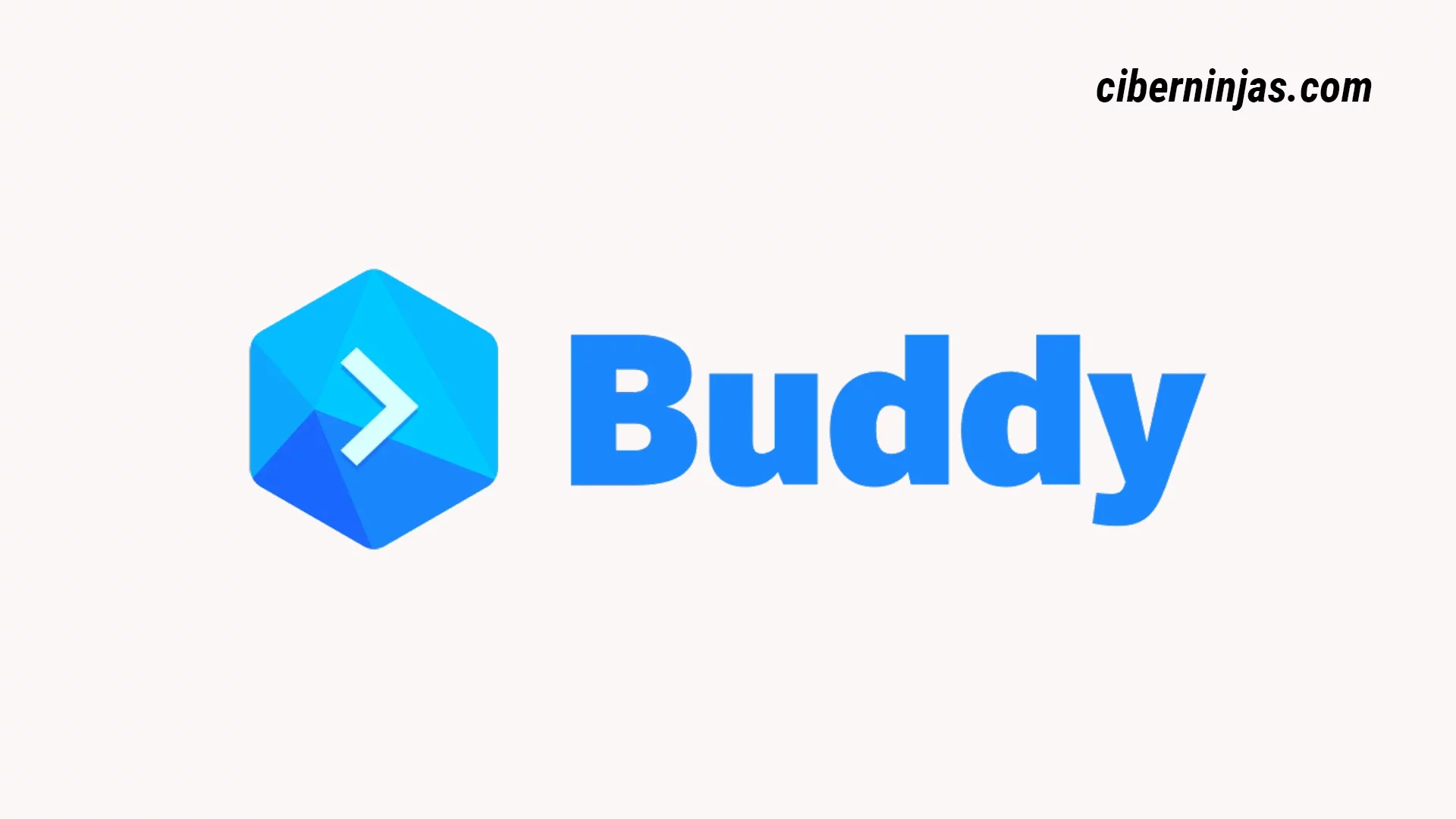 Logotipo del Software de CI/CD: Buddy