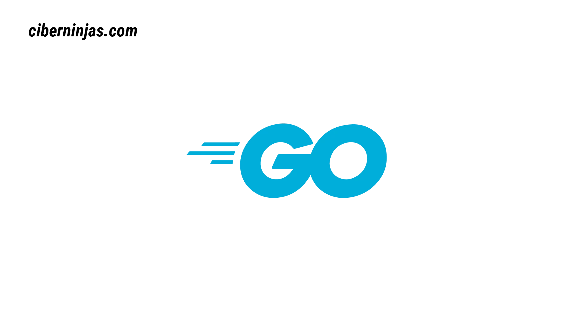 Go logotipo visto en Ciberninjas