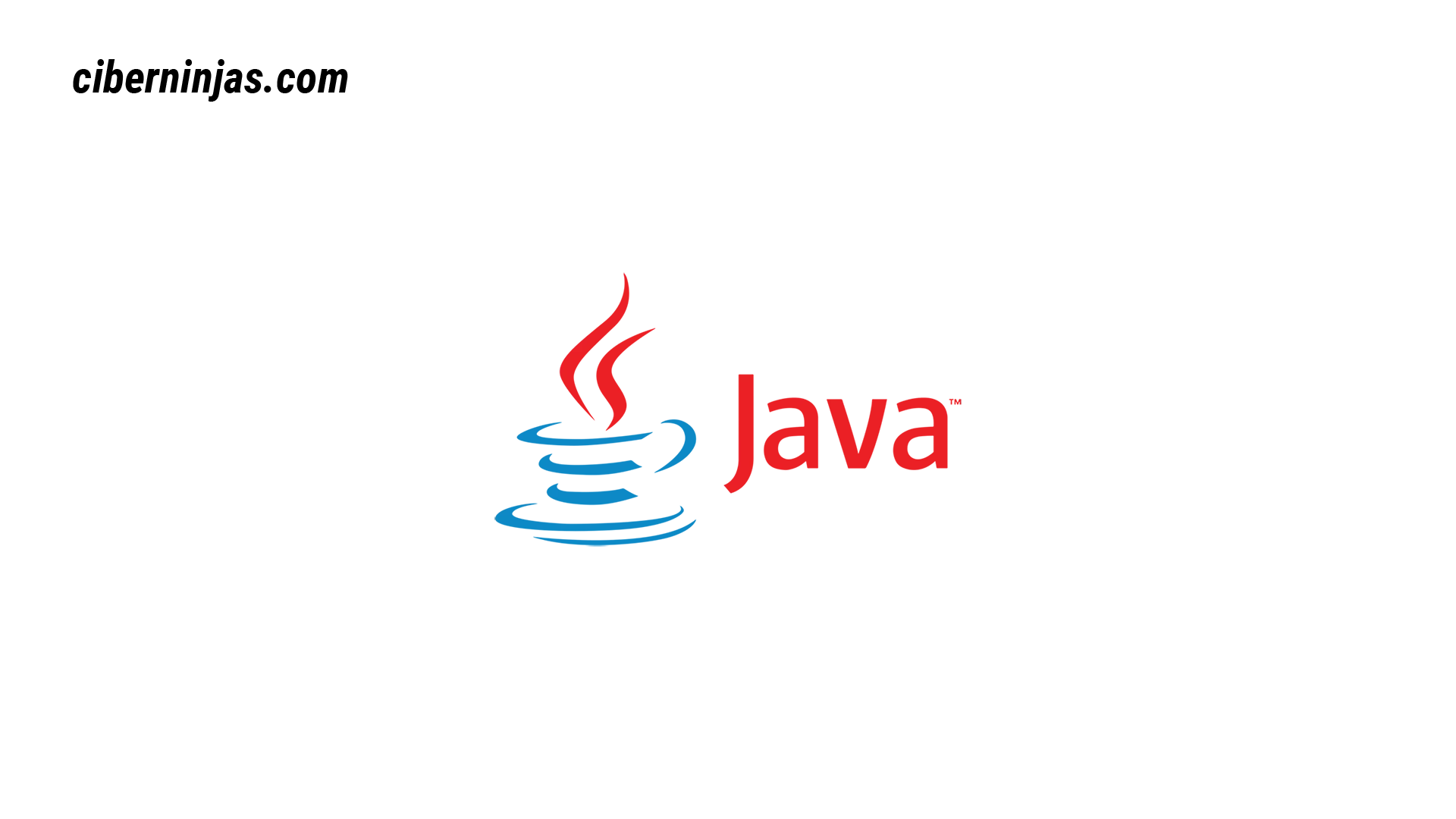 Java logotipo visto en Ciberninjas
