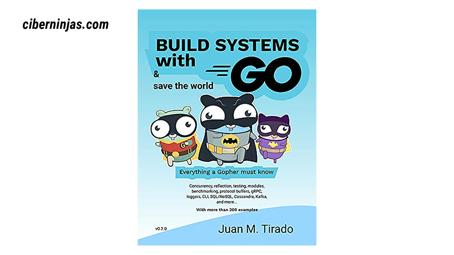 Construyendo sistemas con Go de Juamma Tirado