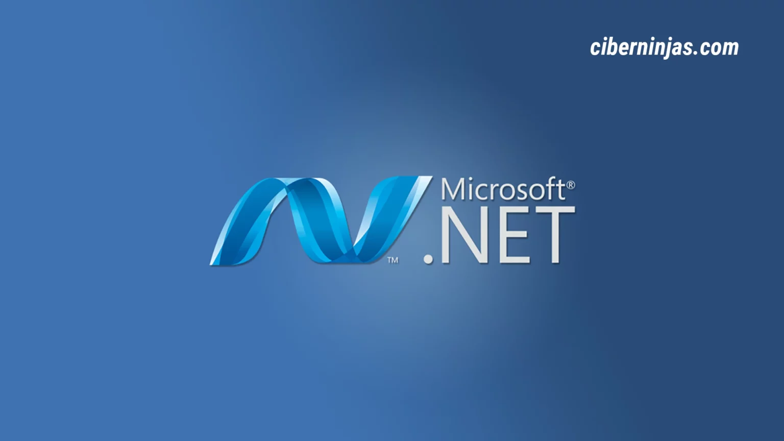 Encuesta a desarrolladores de NET: Resultados más relevantes