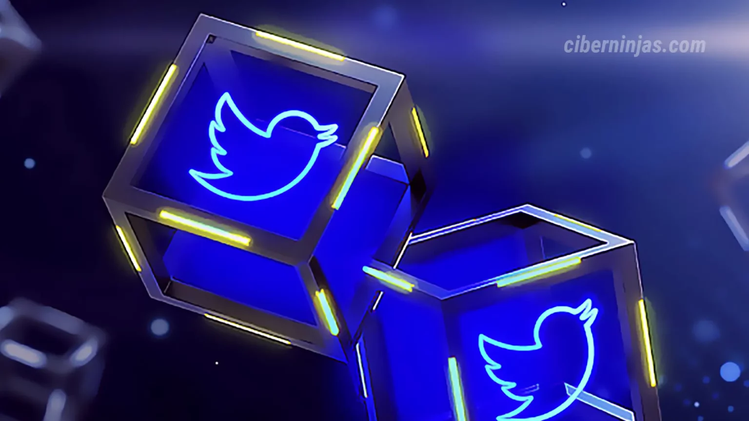 Twitter crea un nuevo equipo centrado en la Criptografía, el Blockchain, las Criptomonedas y NFT