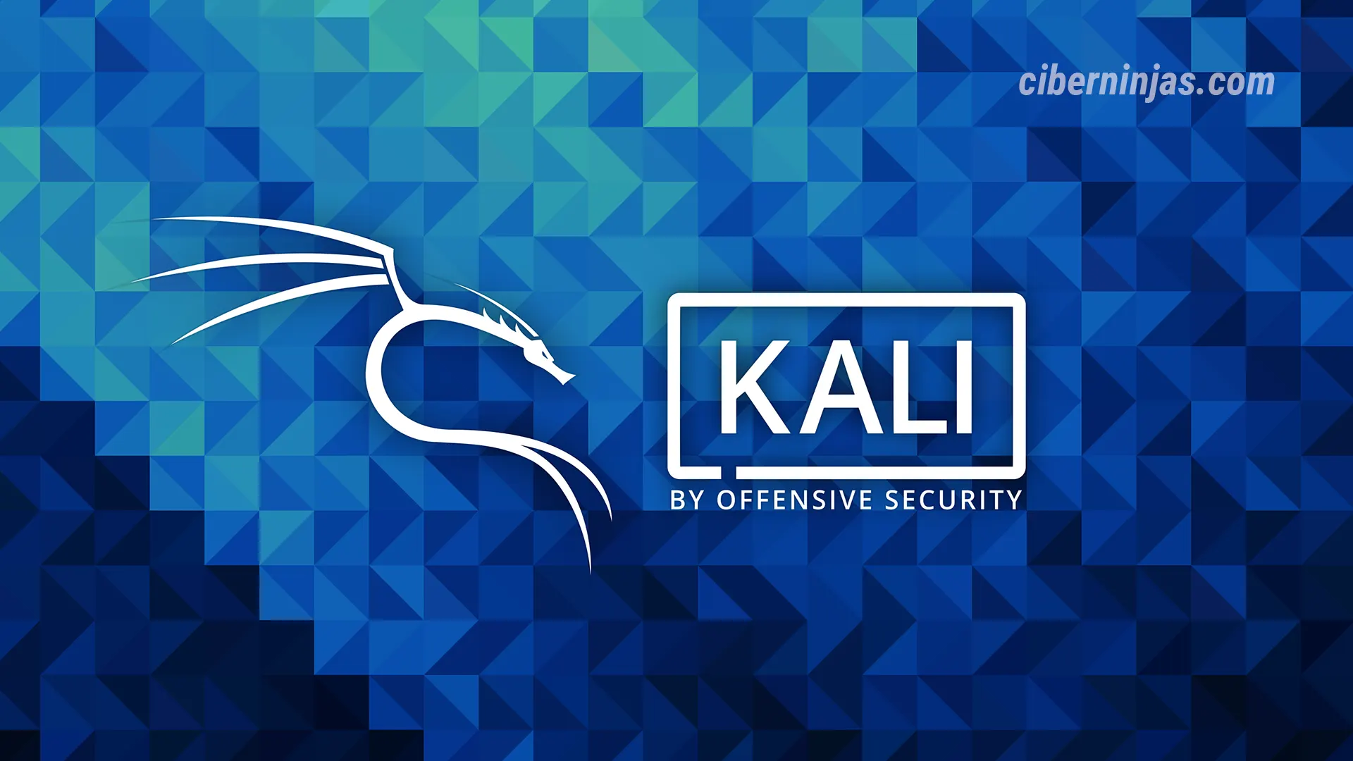 Kali Linux para principiantes, ¿Qué es, cómo instalarlo y cómo usarlo?