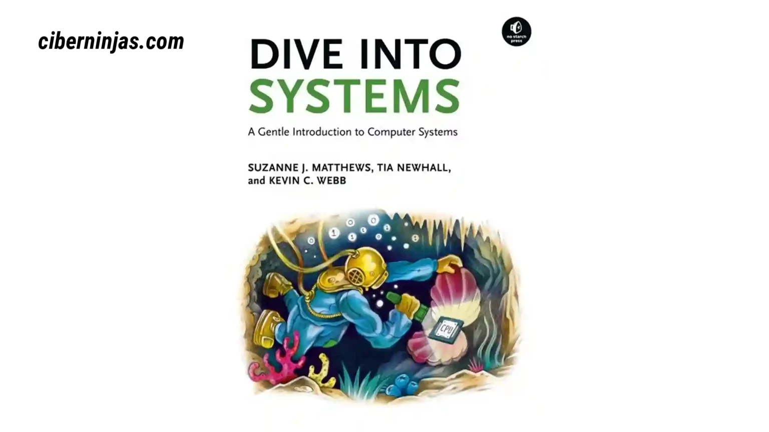Sumérgete en los sistemas por Suzanne J. Matthews, Tia Newhall y Kevin C. Webb (libro gratis)
