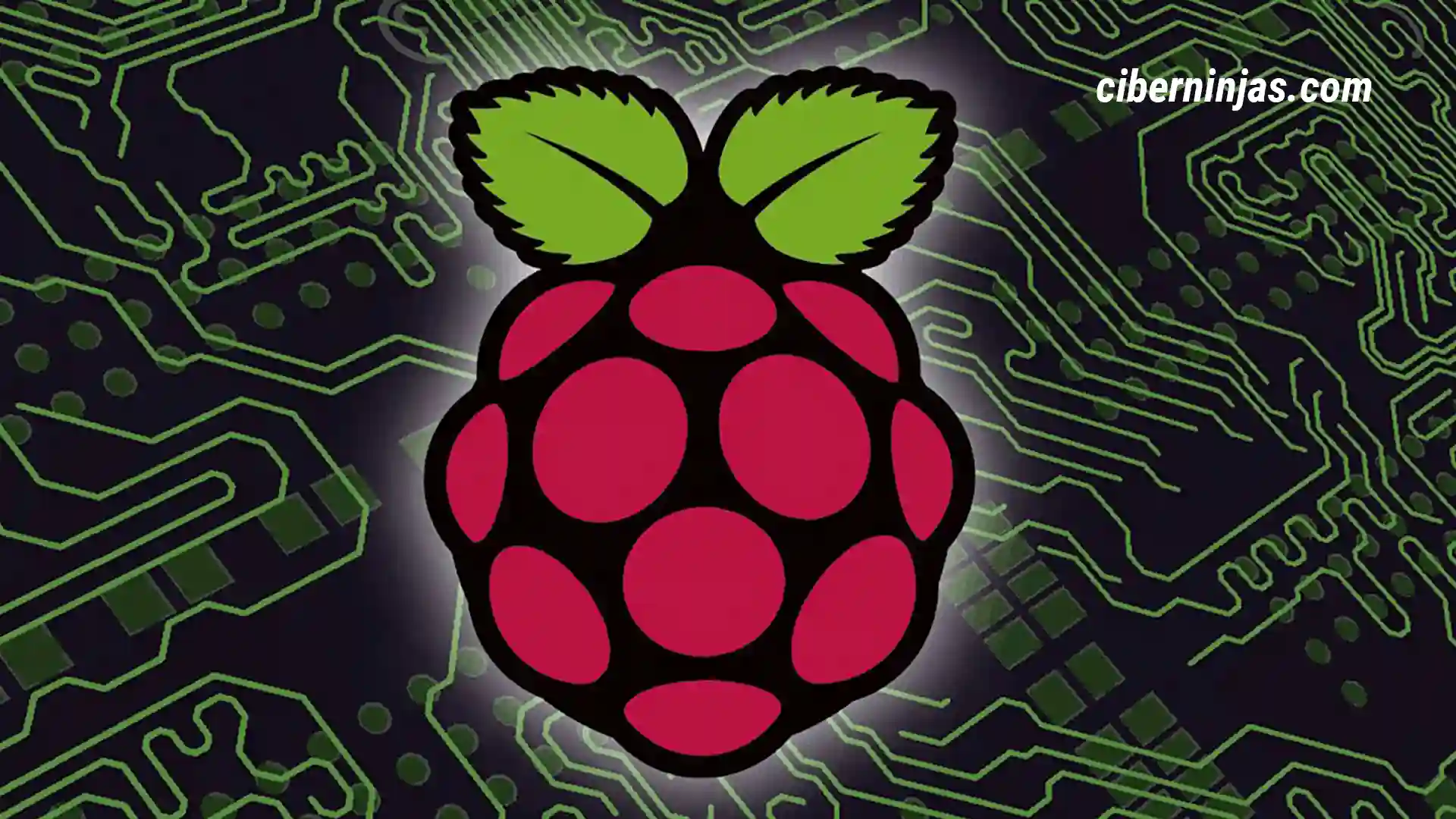 Artículos sobre Raspberry Pi