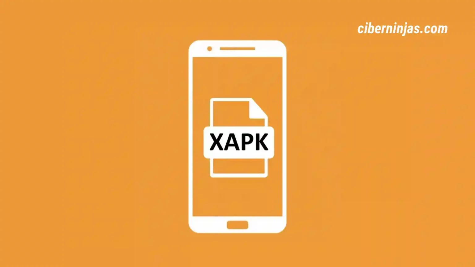 ¿Cómo instalar un archivo XAPK en Android?