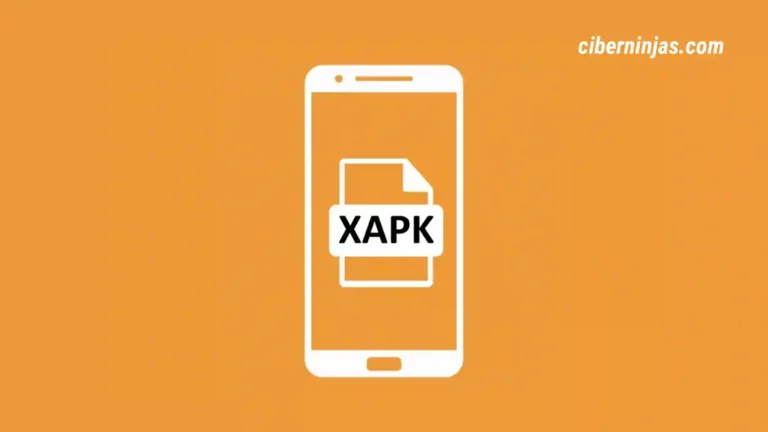 ¿Cómo instalar un archivo XAPK en Android?