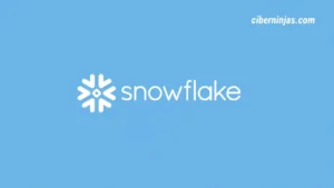 Actualidad y novedades sobre el software en la nube de SnowFlake
