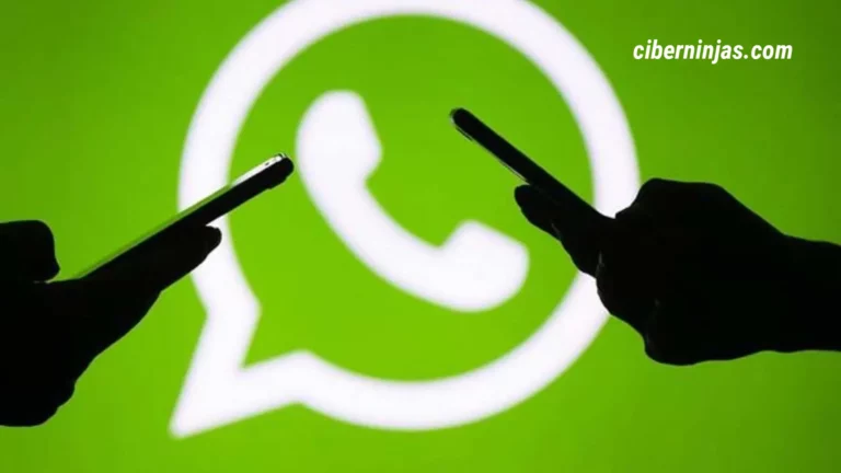 Actualidad de Whatsapp del año 2022