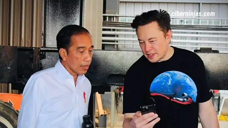 Elon Musk mantuvo reuniones con el presidente de Indonesia para discutir la extracción y procesamiento de níquel