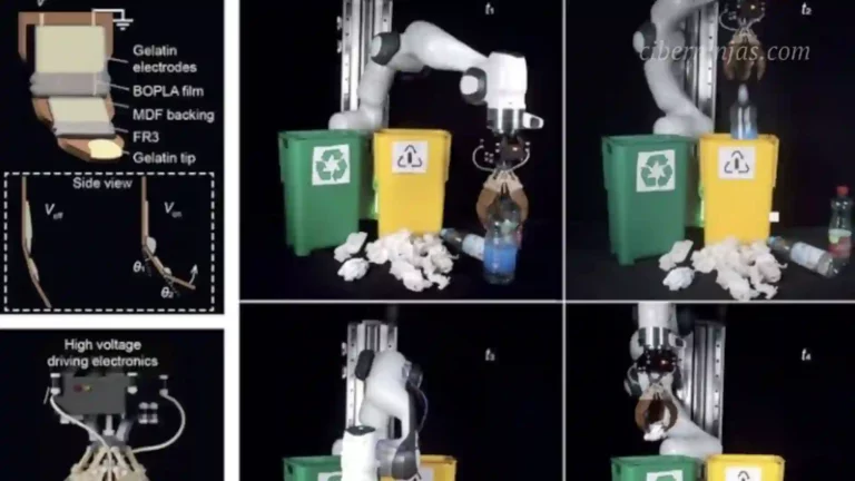 Robótica blanda sostenible: Crean músculos artificiales biodegradables para los robots