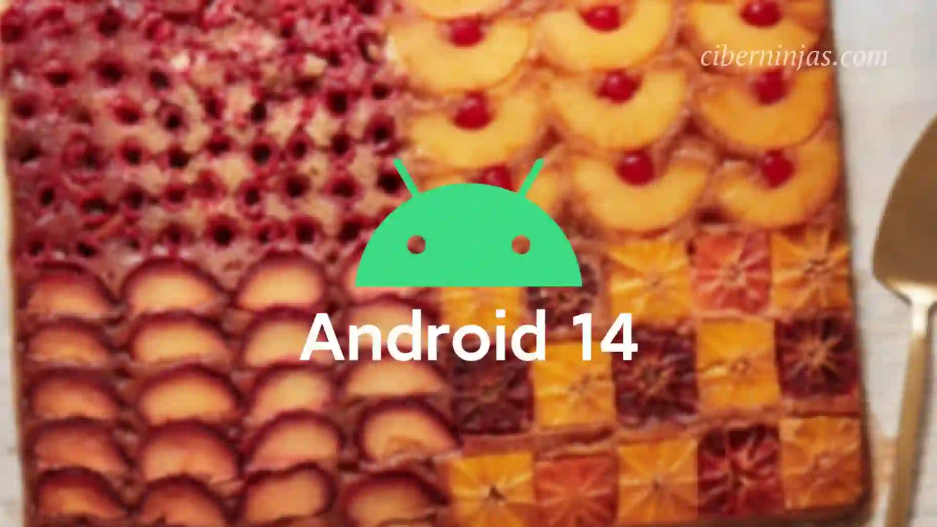 Lista de actualización de Xiaomi Android 14: ¡Todo lo que debes saber!