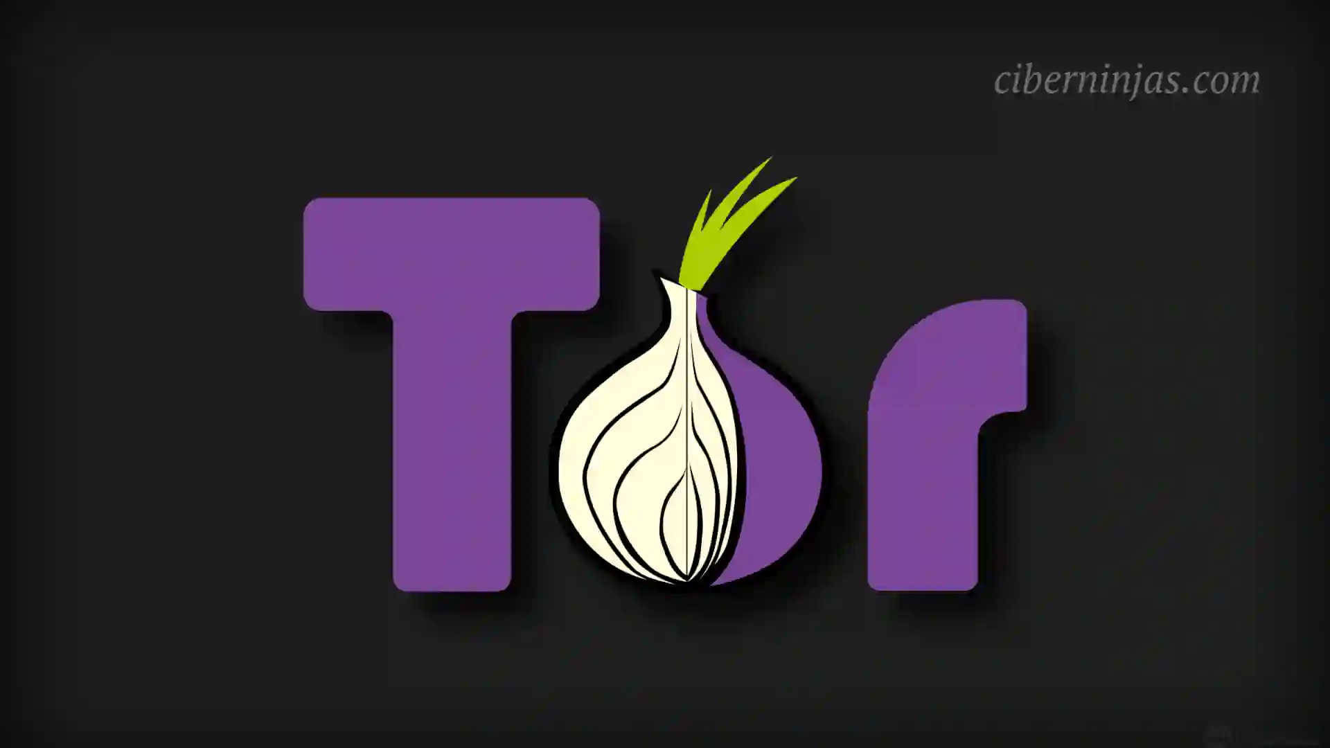 Lanzado Navegador Tor 12.5.1