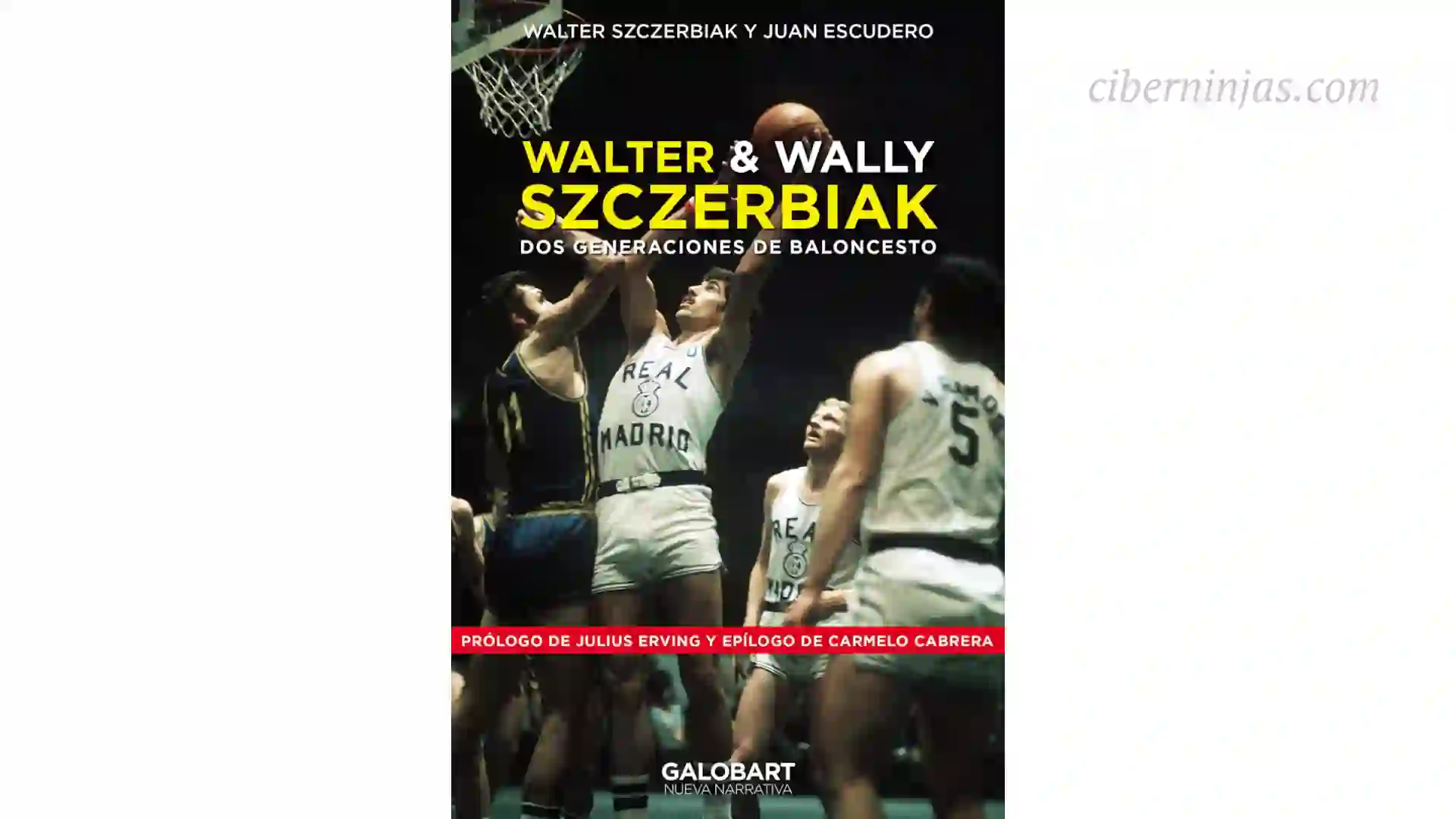 Libro Dos Generaciones de Baloncesto escrito por Walter y Wally Szczerbiak
